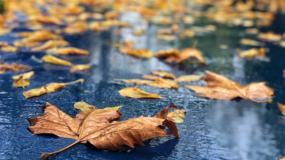 Ploi și caniculă în aceeași zi: Meteorologii anunță cum va fi vremea sâmbătă