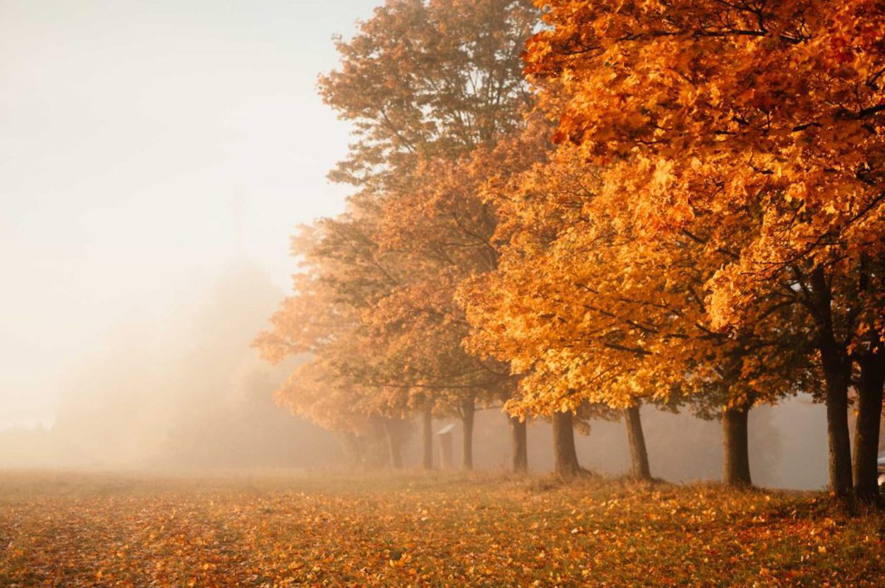 Prognoza meteo pentru 21 octombrie: Ceață și până la +19 grade