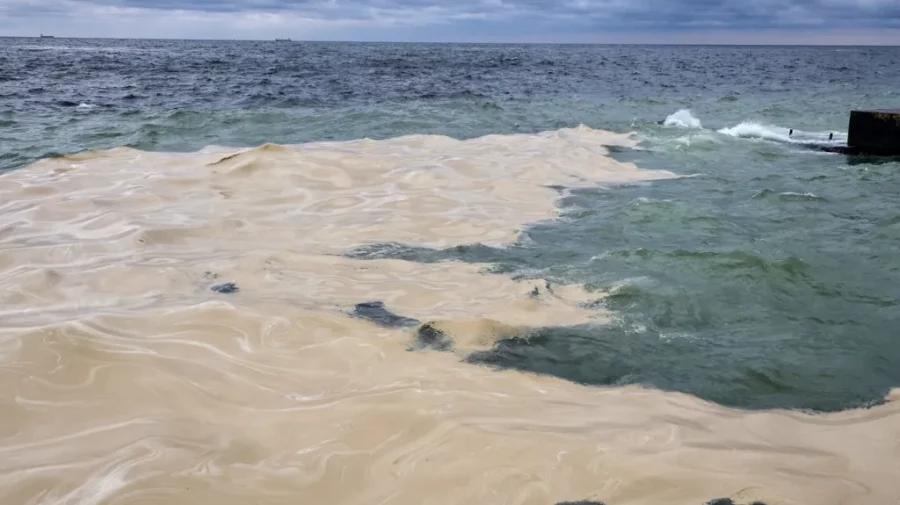 Rusia a provocat un dezastru ecologic în Marea Neagră, după lovirea rezervoarelor de ulei din portul Odesa