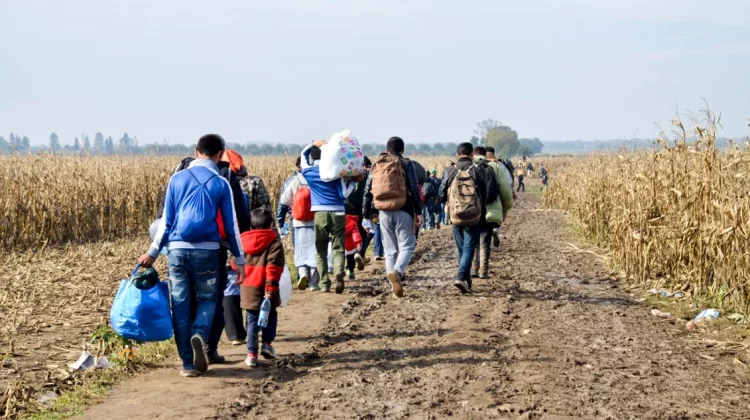 Peste 360.000 de imigranţi au primit azil în Uniunea Europeană în 2025. Care sunt principalele țări de provenienţă