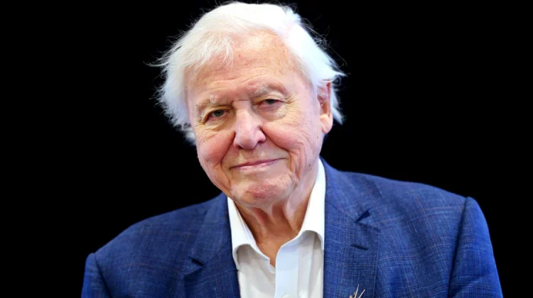 David Attenborough a împlinit 100 de ani. „Cel mai mare ambasador al vieţii pe Pământ”