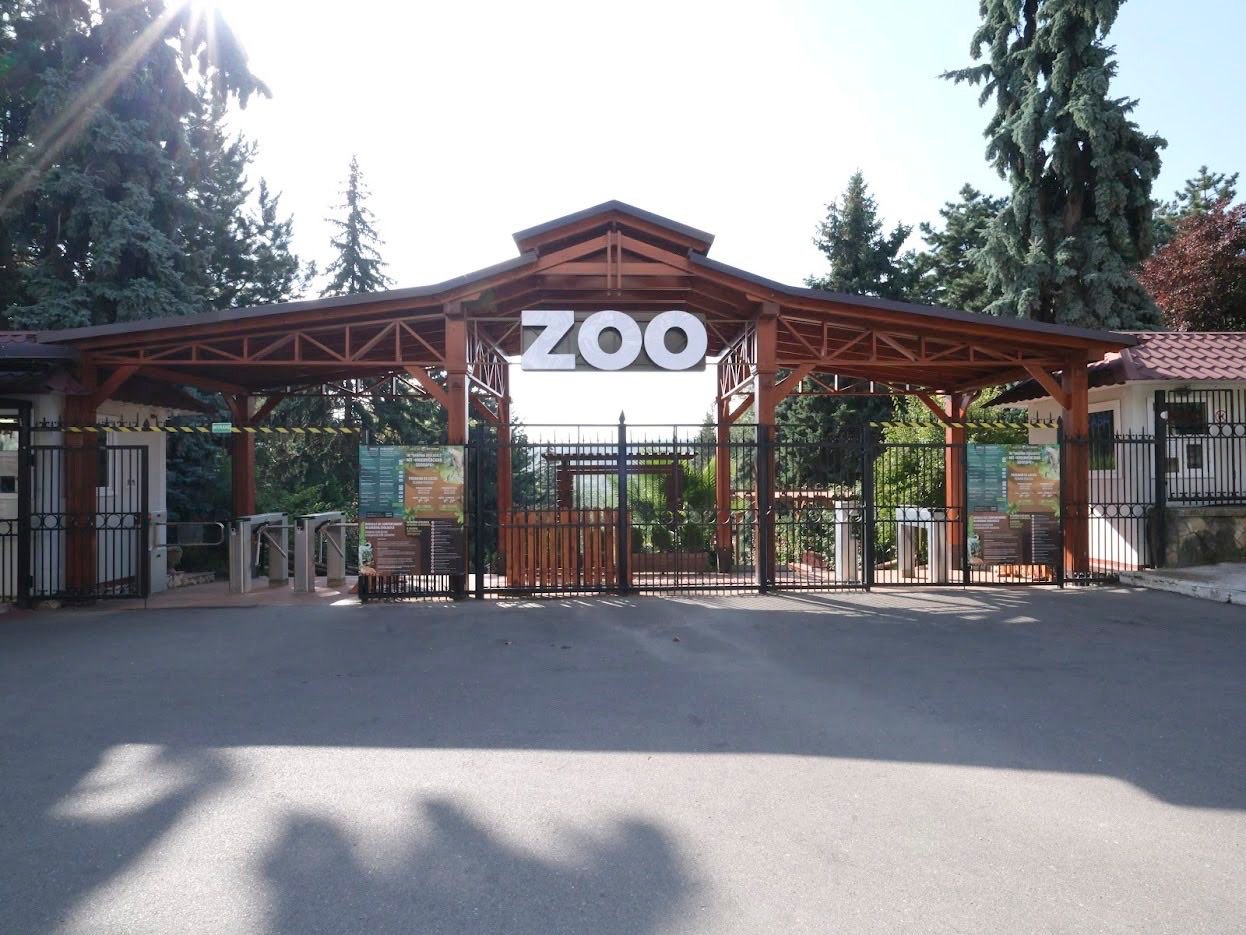 VIDEO Două civete albe și doi kinkaju, noii locatari ai Grădinii Zoologice din Chișinău