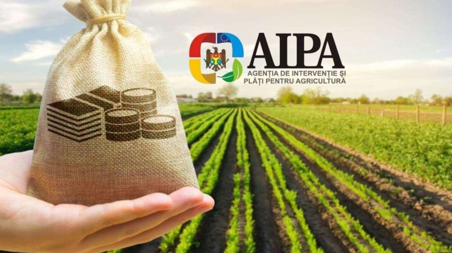 Mai mult control asupra banilor pentru agricultură: AIPA va trece printr-un nou proces de acreditare