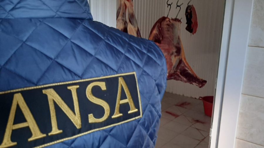 Controale ANSA: Peste 150 de animale sacrificate și opt tone de carne puse sub sechestru din cauza neregulilor