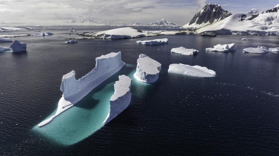Descoperire spectaculoasă în Antarctica. Oamenii de știință au găsit un „oraș subacvatic” cu milioane de cuiburi de pești