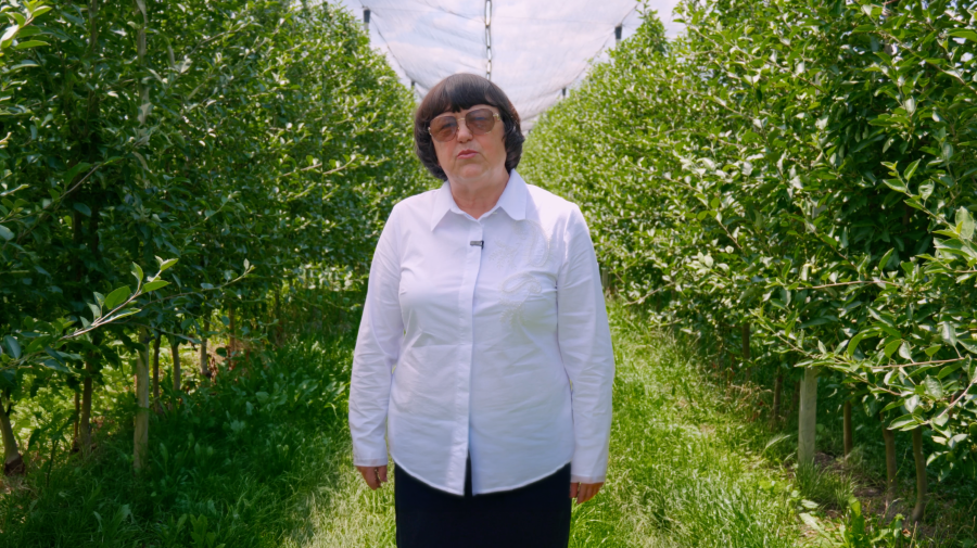 Tehnologie, energie verde și investiții în tineri: Istoria succesului a Agro-Firmei „Plaiul Bîrlădean”
