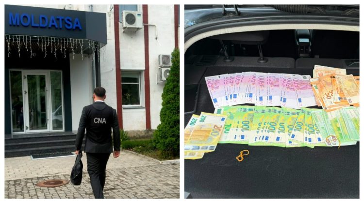 Dosarul ”MOLDATSA”: 25 de percheziții și trei persoane reținute. Ilegalități comise pe bandă rulantă