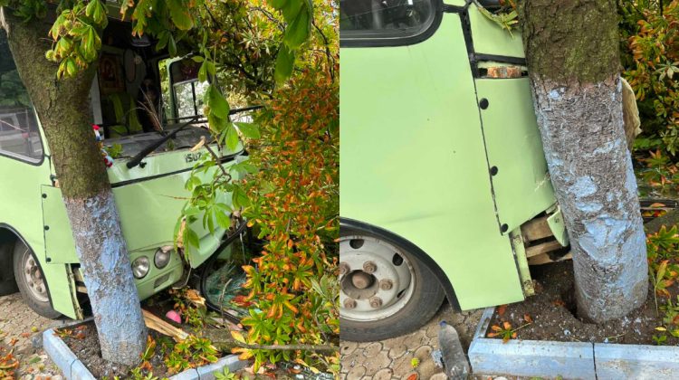 Accident la Comrat! Un șofer de rută ar fi pierdut cunoștința la volan și s-a izbit de un copac: A fost dus la spital