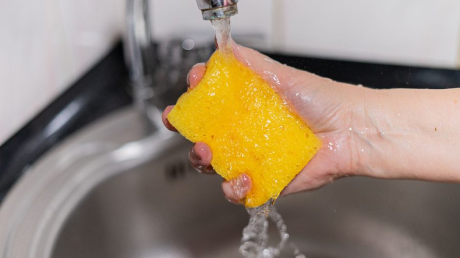 Bureții de bucătărie pot ascunde bacterii periculoase, chiar dacă par curați. Recomandările ANSA