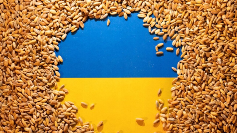 Atacurile rusești au redus cu o treime capacitatea de export de cereale a Ucrainei prin Marea Neagră