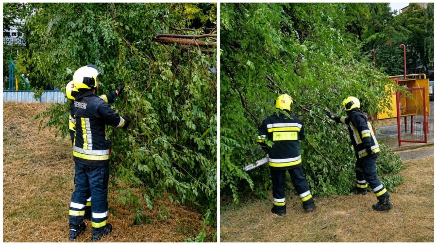 Copaci doborâți și drumuri blocate după ploi: Salvatorii au intervenit în zeci de situații de risc