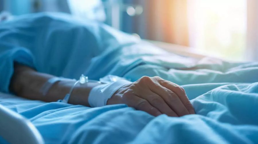 Bărbat mușcat de șarpe la Strășeni, transportat de urgență la spital