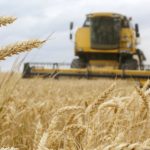 CFM ia în calcul o reducere de 50% pentru cerealele ucrainene: ce riscuri identifică un economist