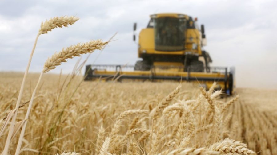 CFM ia în calcul o reducere de 50% pentru cerealele ucrainene: ce riscuri identifică un economist