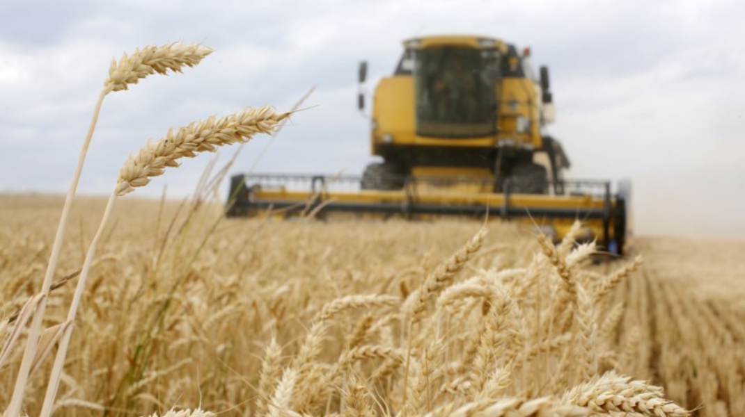 CFM ia în calcul o reducere de 50% pentru cerealele ucrainene: ce riscuri identifică un economist