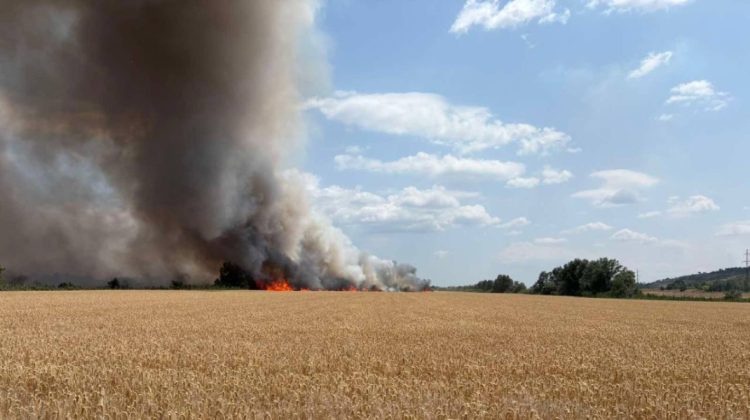 Incendiu devastator la Telenești: 15 hectare de grâu au ars, iar pompierii au salvat alte 25 de hectare