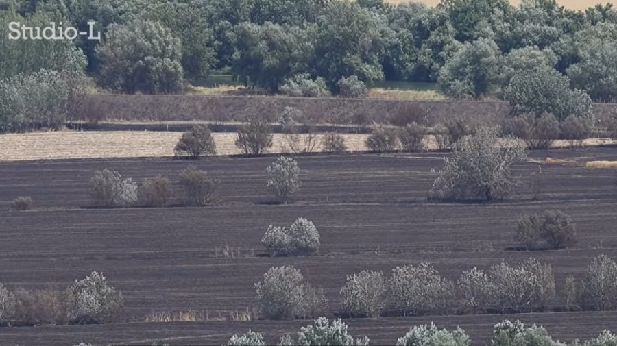 Incendiul de la Purcari, unde au fost distruse 38 de hectare de grâu: Prejudiciul depășește jumătate de milion de lei