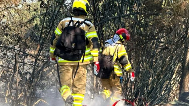 Pompierii moldoveni au lichidat primele focare de incendiu în Grecia. Reportaj din baza operațională