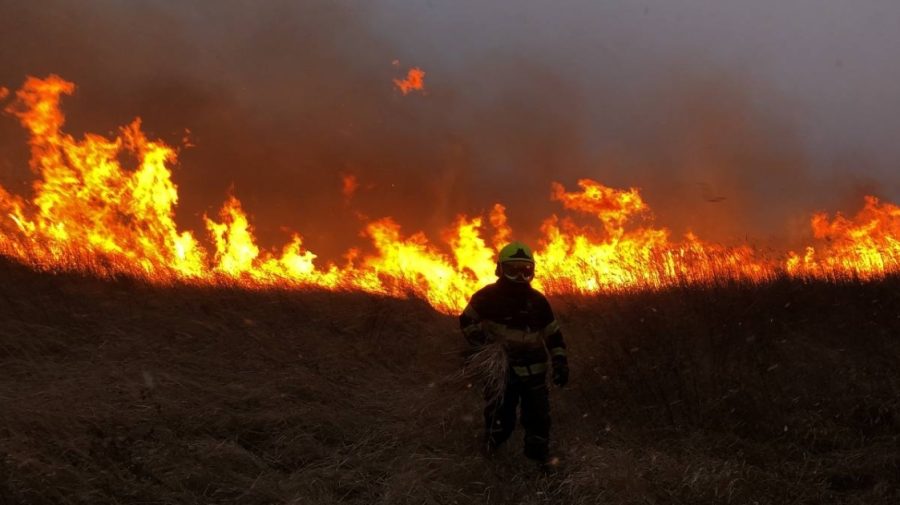 Zeci de hectare, distruse de incendii: Căușeni, Nisporeni și Cahul, printre cele mai afectate raioane