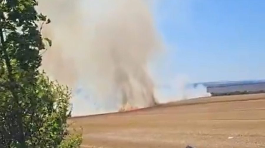 Incendiul de la Țambula: Circa 10 hectare de miriște au fost distruse de flăcări