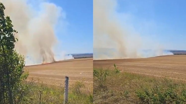 Un lan de grâu ar fi fost cuprins de flăcări. Incendiul se extinde rapid: VIDEO de la fața locului