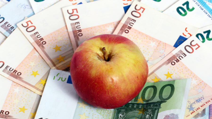 Guvernul împrumută 150 de milioane de euro pentru proiectul „Livada Moldovei II”: Cum vor fi utilizați banii