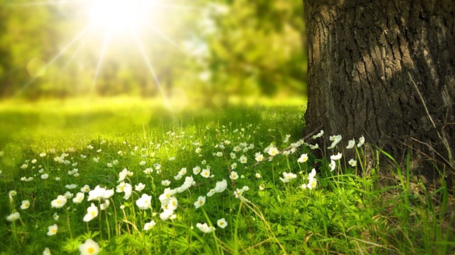 Weekendul începe cu vreme frumoasă. Prognoza meteo pentru 25 iulie