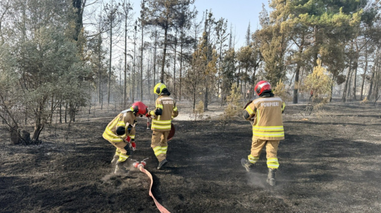 12 pompieri moldoveni au intervenit la un incendiu forestier în apropierea orașului Salonic
