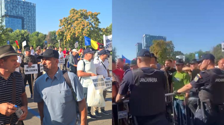 Fermierii protestează la București după interzicerea exportului de oi și capre. „Ne sunt afectate grav afacerile”