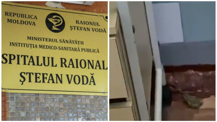 VIDEO Noi probleme de igienă într-un spital public: Broaște filmate într-o secție la Ștefan Vodă. Ce spune ministrul
