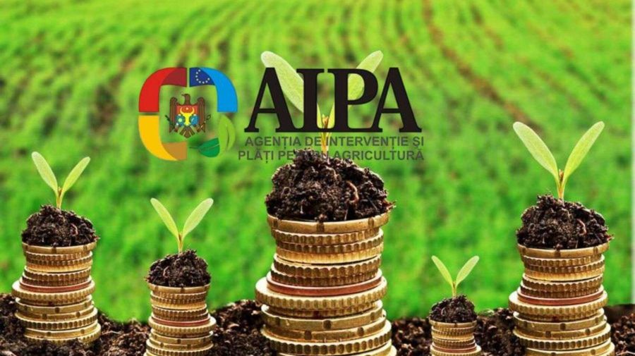 AIPA, după reținerea șefului Direcției plăți în avans: Agenția este dispusă să colaboreze cu instituțiile de resort