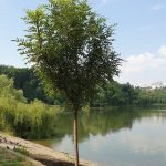 „Valea Trandafirilor”, în proces de modernizare: Ce lucrări au fost realizate