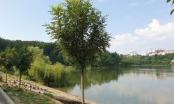 „Valea Trandafirilor”, în proces de modernizare: Ce lucrări au fost realizate