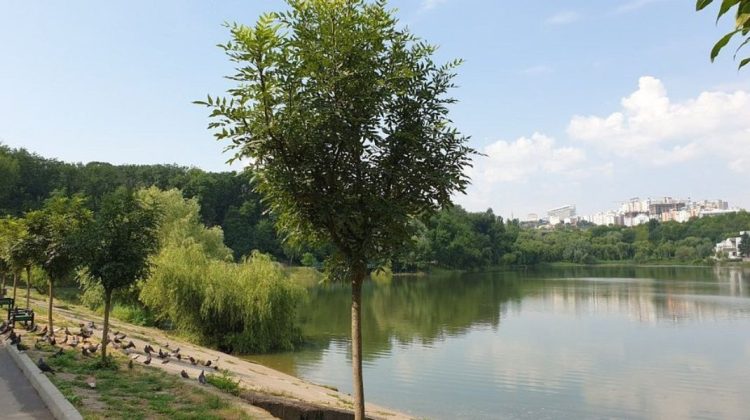 „Valea Trandafirilor”, în proces de modernizare: Ce lucrări au fost realizate