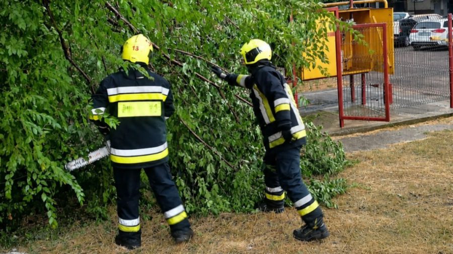 Copaci doborâți peste locuințe și drumuri din cauza vântului. IGSU a intervenit în mai multe localități