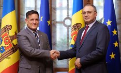 Cooperarea în cultură și mass-media, discutată de Dan Suruceanu și Nick Pietrowicz