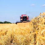 Sprijin financiar pentru fermierii care și-au asigurat culturile: Când pot fi depuse cererile