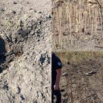 Atacurile rusești din Ucraina, resimțite la frontiera de stat: Explozie și resturi de dronă, în Moldova