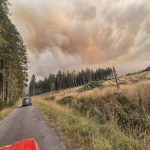 VIDEO Belgia, lovită de cel mai mare incendiu de vegetație din istorie: UE intervine de urgență