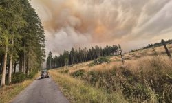 VIDEO Belgia, lovită de cel mai mare incendiu de vegetație din istorie: UE intervine de urgență