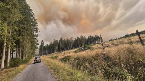 VIDEO Belgia, lovită de cel mai mare incendiu de vegetație din istorie: UE intervine de urgență