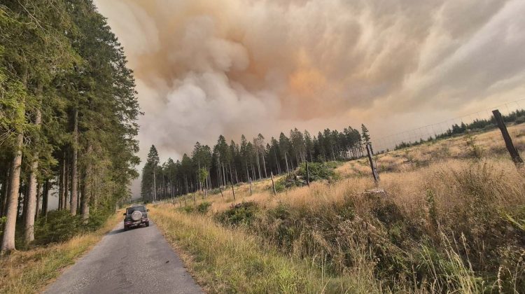 VIDEO Belgia, lovită de cel mai mare incendiu de vegetație din istorie: UE intervine de urgență