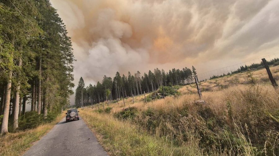 VIDEO Belgia, lovită de cel mai mare incendiu de vegetație din istorie: UE intervine de urgență