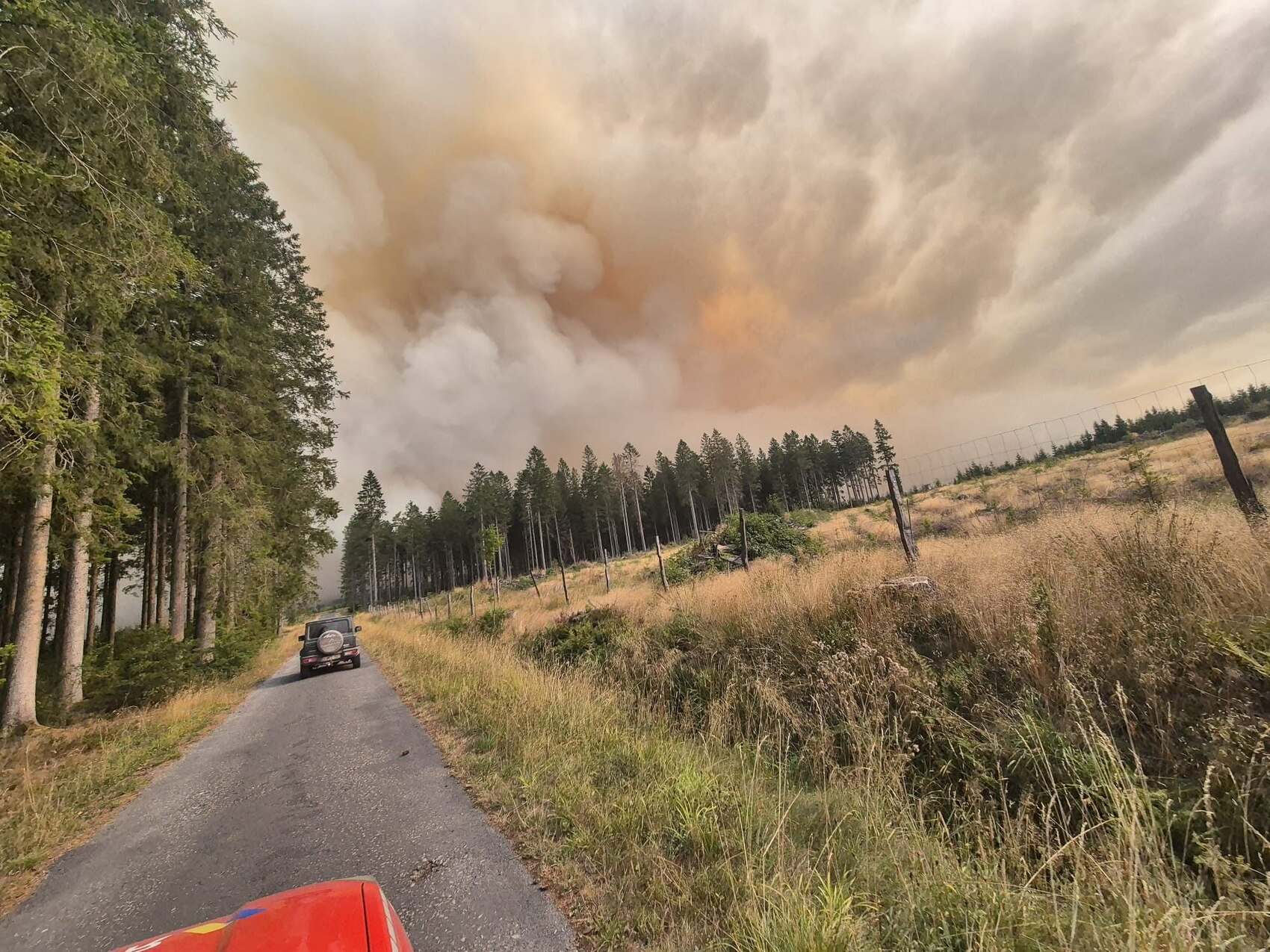 VIDEO Belgia, lovită de cel mai mare incendiu de vegetație din istorie: UE intervine de urgență