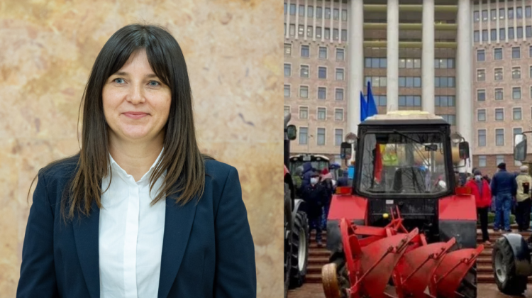 Nemulțumiți de 12% TVA, producătorii de cereale cer întrevedere cu Belous. Când îi așteaptă la discuții șefa pe Finanțe
