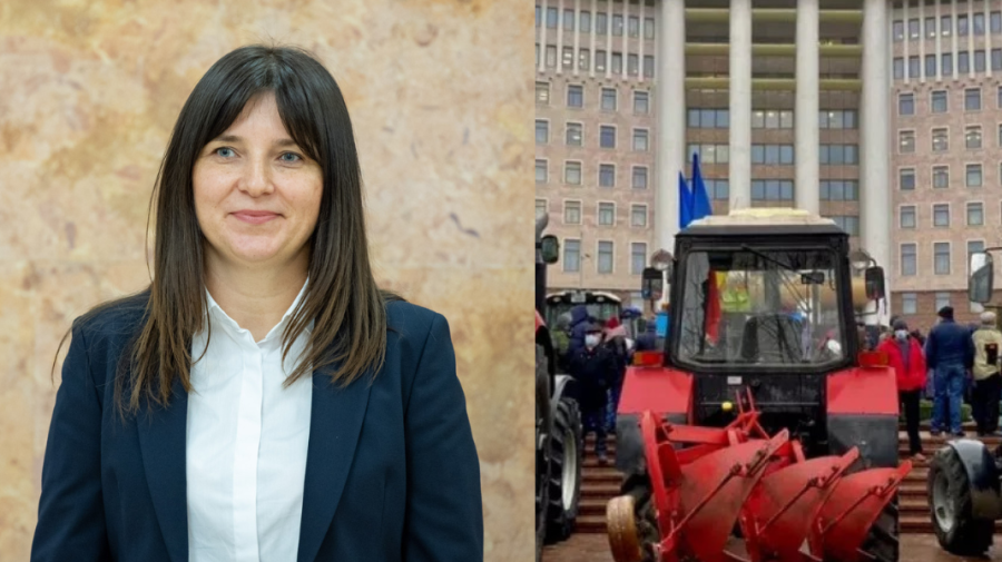Nemulțumiți de 12% TVA, producătorii de cereale cer întrevedere cu Belous. Când îi așteaptă la discuții șefa pe Finanțe