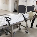 Canicula face ravagii în Europa: Germania estimează 14 mii de decese, Spania – aproape 4.500
