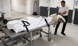 Canicula face ravagii în Europa: Germania estimează 14 mii de decese, Spania – aproape 4.500