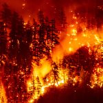 Stare de urgență în Canada. Peste 20.000 de persoane au fost evacuate din calea flăcărilor