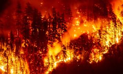 Stare de urgență în Canada. Peste 20.000 de persoane au fost evacuate din calea flăcărilor